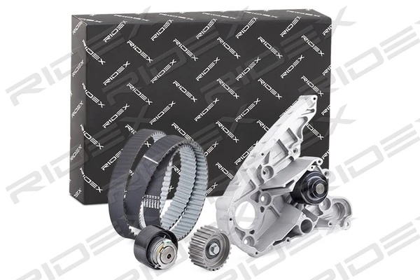 Compre 3096W0073 Ridex Correia do mecanismo de distribuição de gás, kit