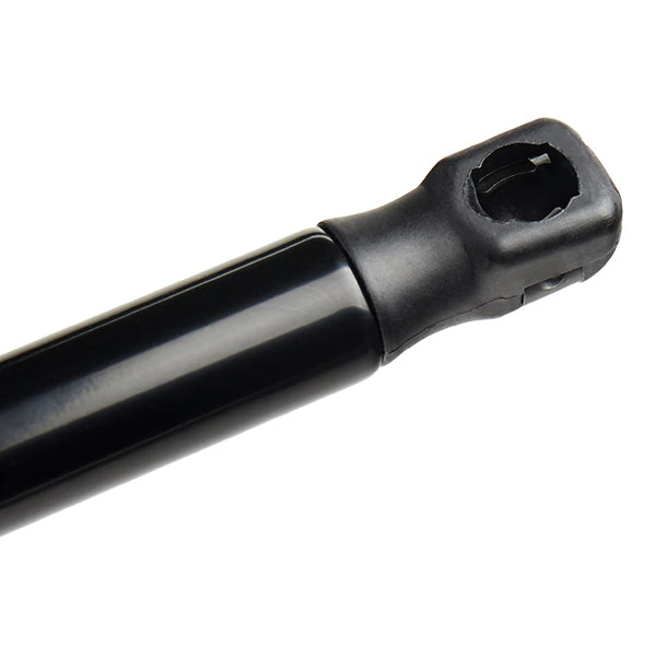  Ridex 219G0348