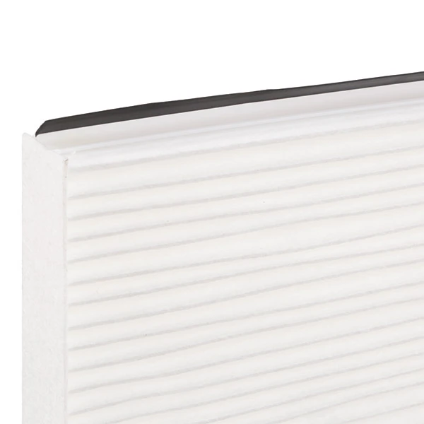 Compre 424I0063 Ridex Filtro de salão