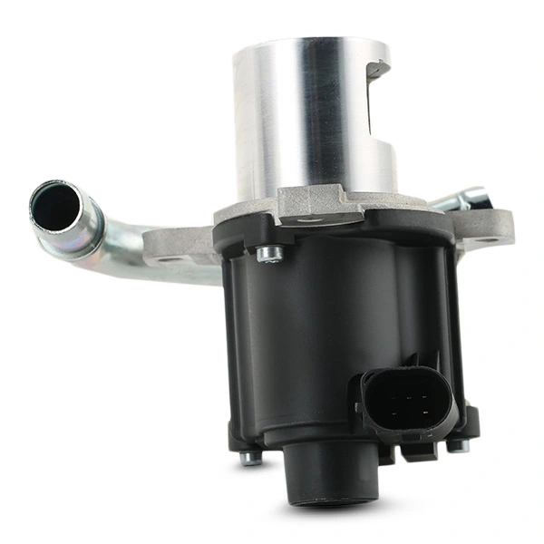 Compre 1145E0221 Ridex Válvula EGR de recirculação dos gases