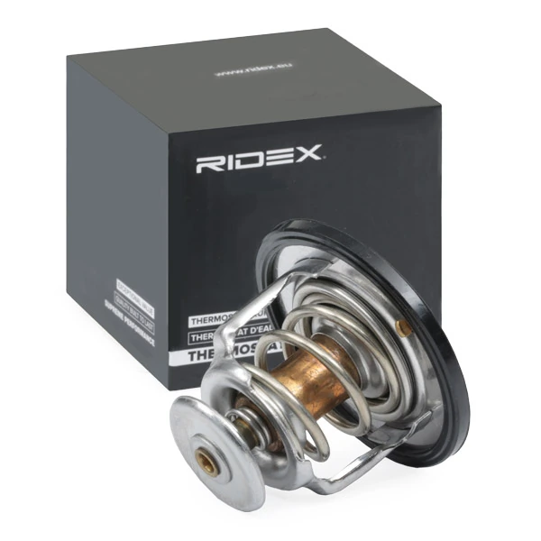 Compre 316T0046 Ridex Termostato
