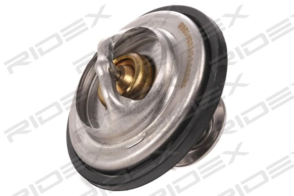 316T0050 Ridex Termostato