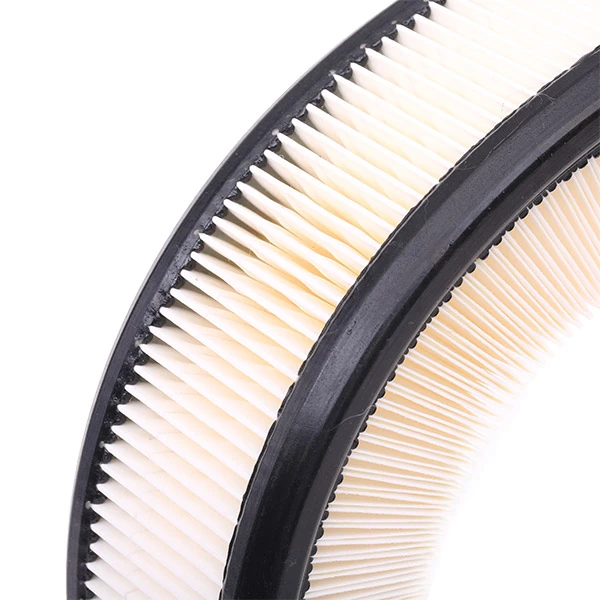 8A0195 Ridex Filtro de ar