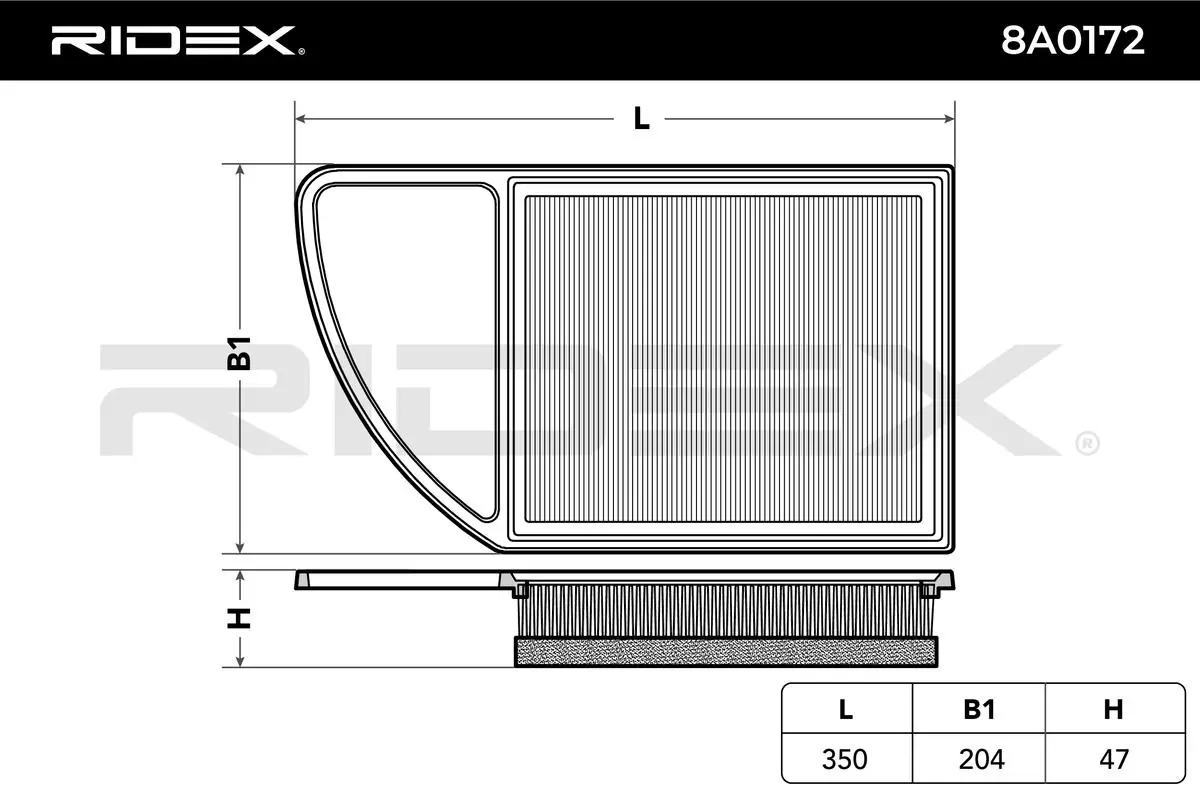 8A0172 Ridex Filtro de ar