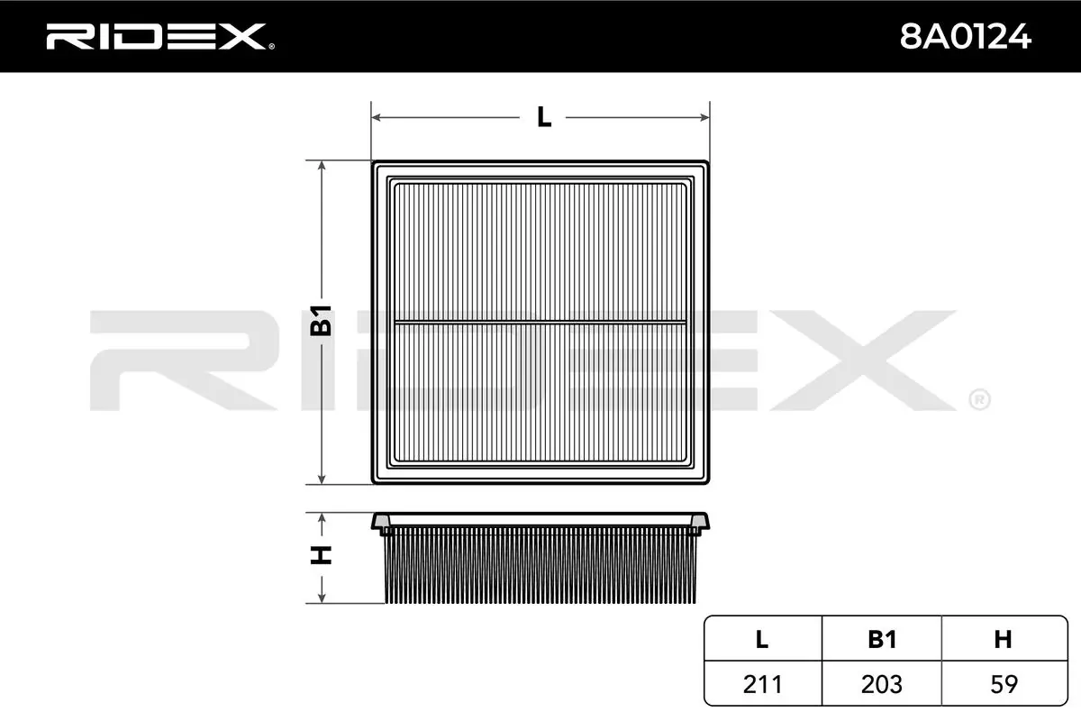 8A0124 Ridex
