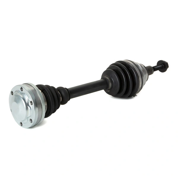 13D0698 Ridex