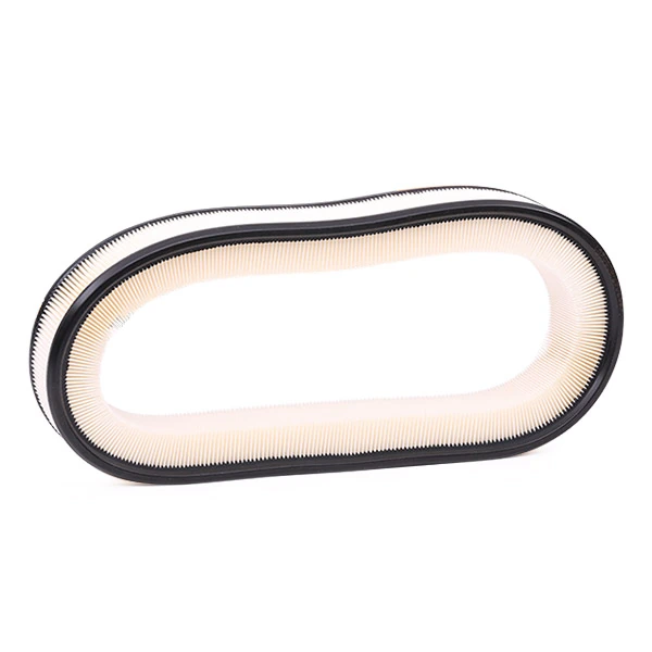 Compre 8A0195 Ridex Filtro de ar