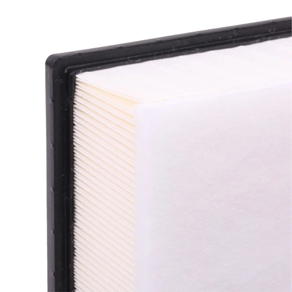 Compre 8A0401 Ridex Filtro de ar