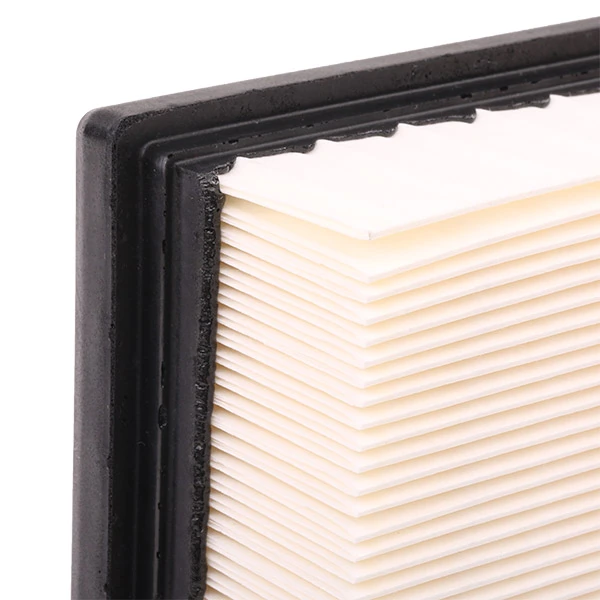 Compre 8A0150 Ridex Filtro de ar