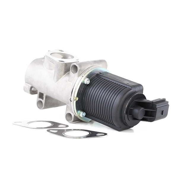 Compre 1145E0019 Ridex Válvula EGR de recirculação dos gases