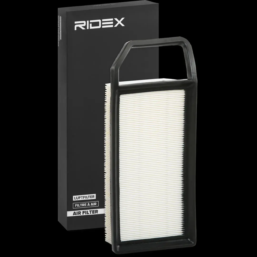 8A0199 Ridex
