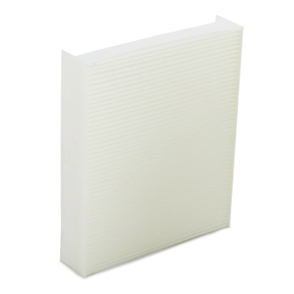Compre 424I0049 Ridex Filtro de salão