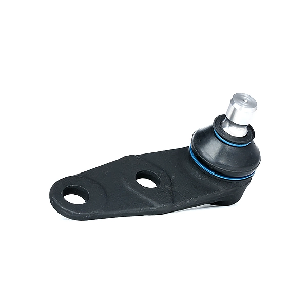 2462S0028 Ridex