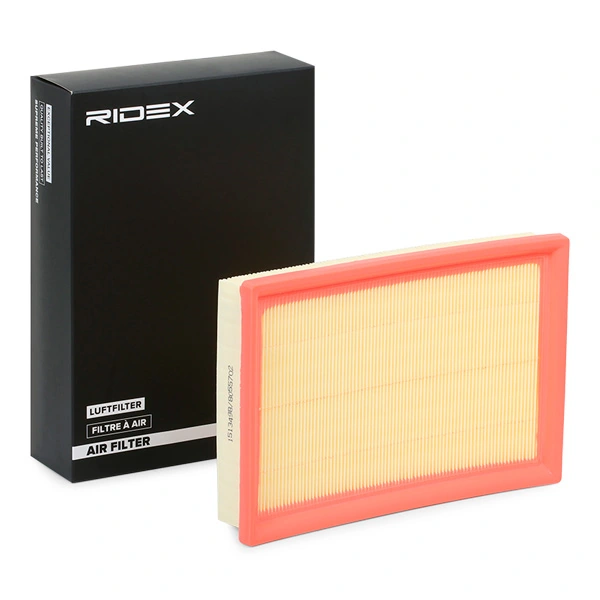 8A0376 Ridex