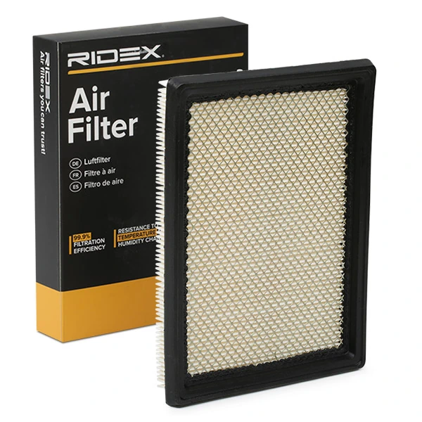 Compre 8A0074 Ridex Filtro de ar