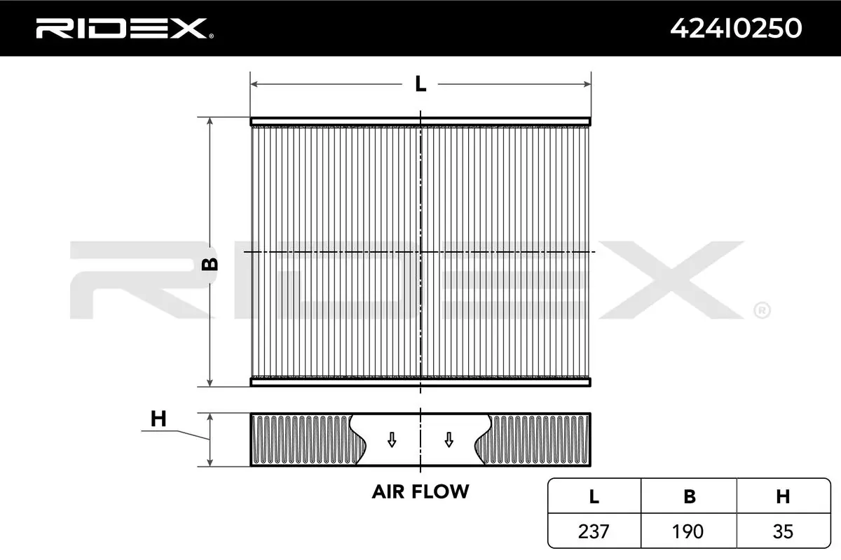424I0250 Ridex Filtro de salão