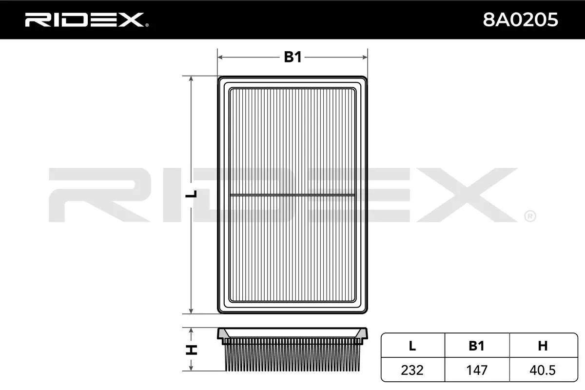 8A0205 Ridex