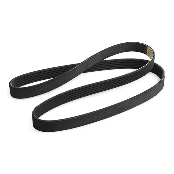 Compre 305P0135 Ridex Correia dos conjuntos de transmissão