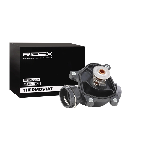 316T0004 Ridex Termostato