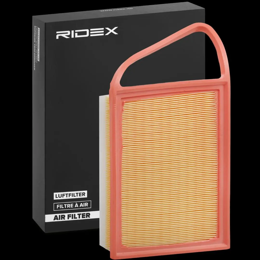 Compre 8A0172 Ridex Filtro de ar