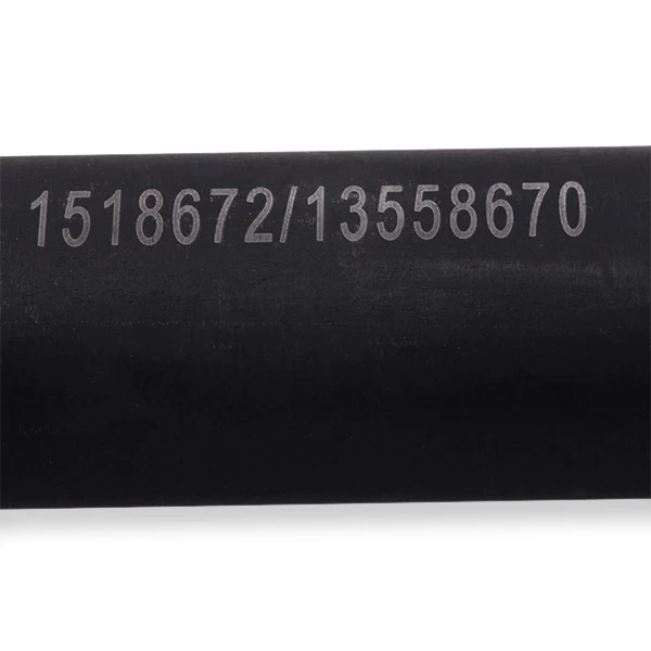 13D0328 Ridex