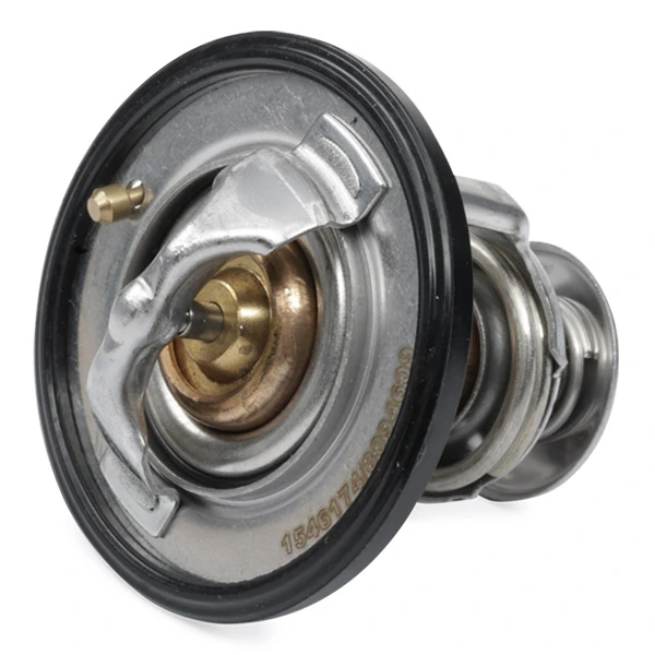 316T0046 Ridex Termostato