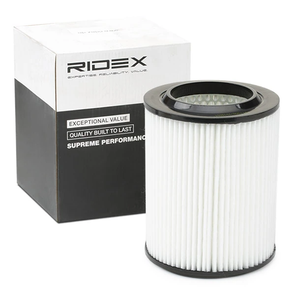 Compre 8A0214 Ridex Filtro de ar