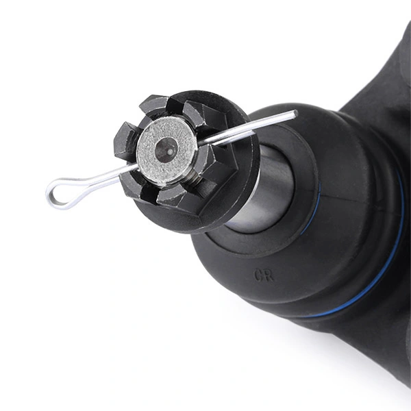 2462S0098 Ridex