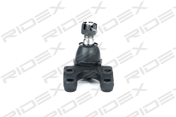 2462S0144 Ridex
