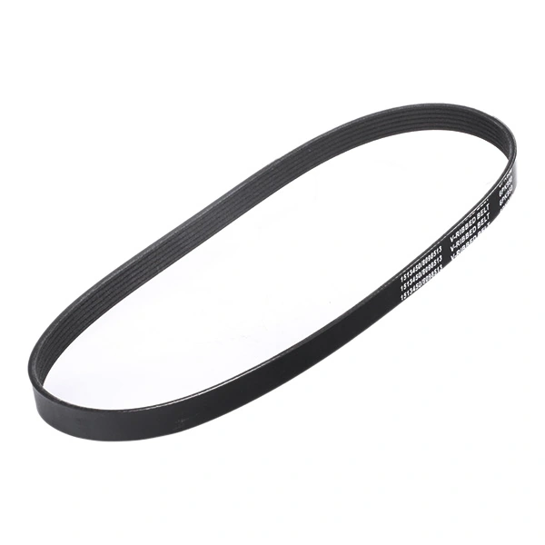 Compre 305P0165 Ridex Correia dos conjuntos de transmissão