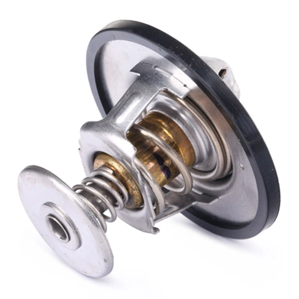 316T0011 Ridex Termostato
