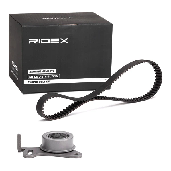 Compre 307T0276 Ridex Correia do mecanismo de distribuição de gás, kit