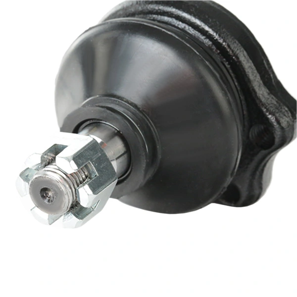  Ridex 2462S0189
