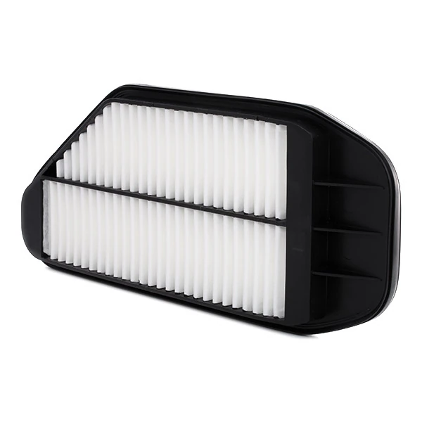 Filtro de ar 8A0295 Ridex