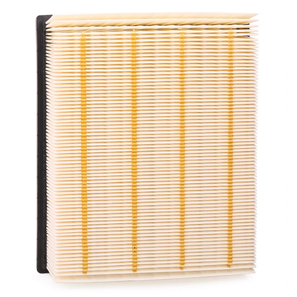 Compre 8A0347 Ridex Filtro de ar