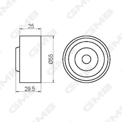 Compre GT10170 GMB Rolo parasita da correia do mecanismo de distribuição de gás