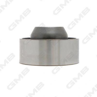 GT60480 GMB Rolo parasita da correia do mecanismo de distribuição de gás