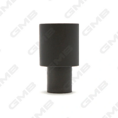GT60340 GMB Rolo parasita da correia do mecanismo de distribuição de gás