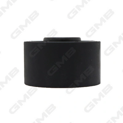 GT80520 GMB Rolo parasita da correia do mecanismo de distribuição de gás