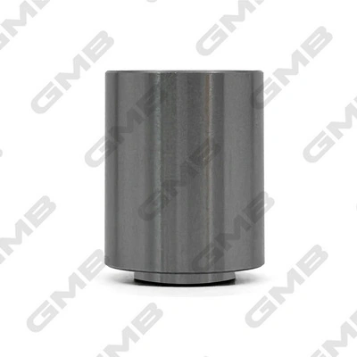 GT40940 GMB Rolo parasita da correia do mecanismo de distribuição de gás