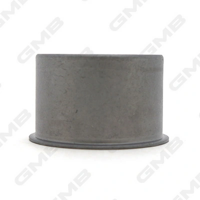 GT10111 GMB Rolo parasita da correia do mecanismo de distribuição de gás