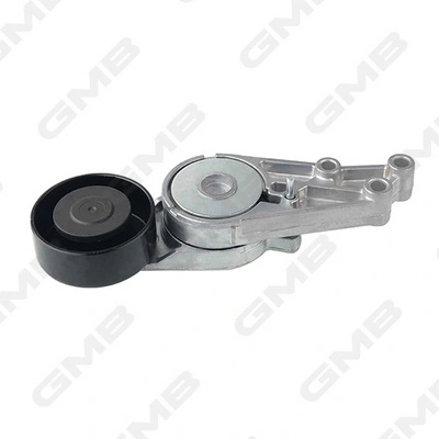  Reguladora de tensão da correia de transmissão Seat Exeo ST carrinha (3R5) (2009 - 2013) ST