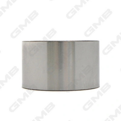 GT80540 GMB Rolo parasita da correia do mecanismo de distribuição de gás