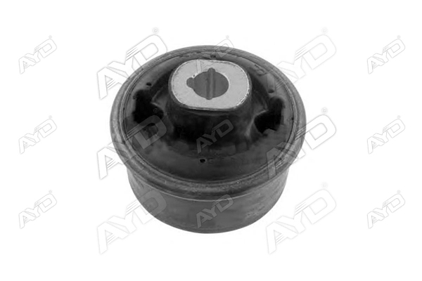 545601684R Renault (RVI) Bloco silencioso dianteiro do braço oscilante inferior