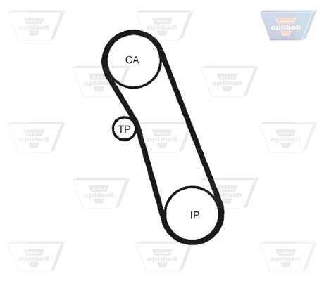 Correia do mecanismo de distribuição de gás para Ford Fiesta Mk2 FBD