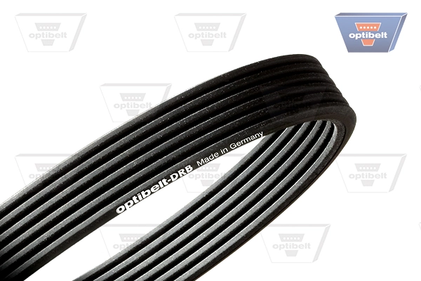 6DPK1195 Optibelt