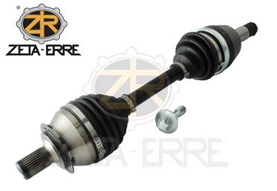 ZR11079 ZetA-Erre