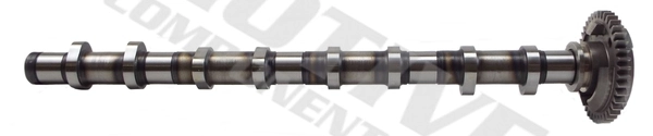  Árvore distribuidora de motor de admissão BMW 3 sedan (E90) (2004 - 2013) 