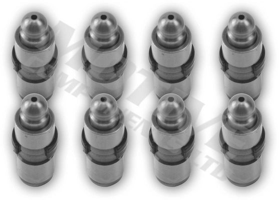HL81 Motive