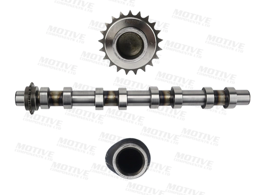 T4461 Motive